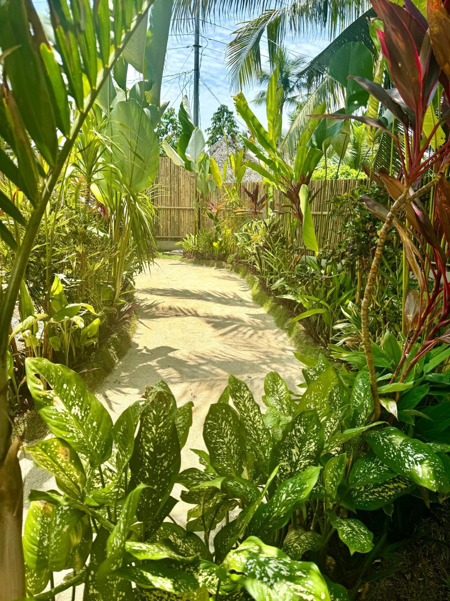 Villa Pura Vida Apartments Siargao General Luna  Luaran gambar